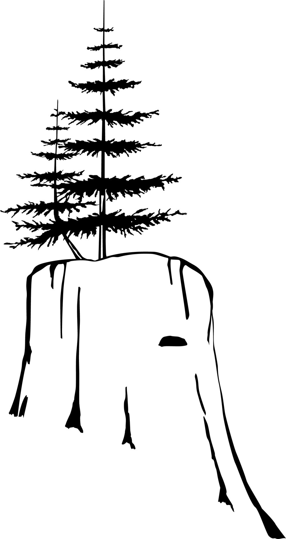 Forest Management Solutions